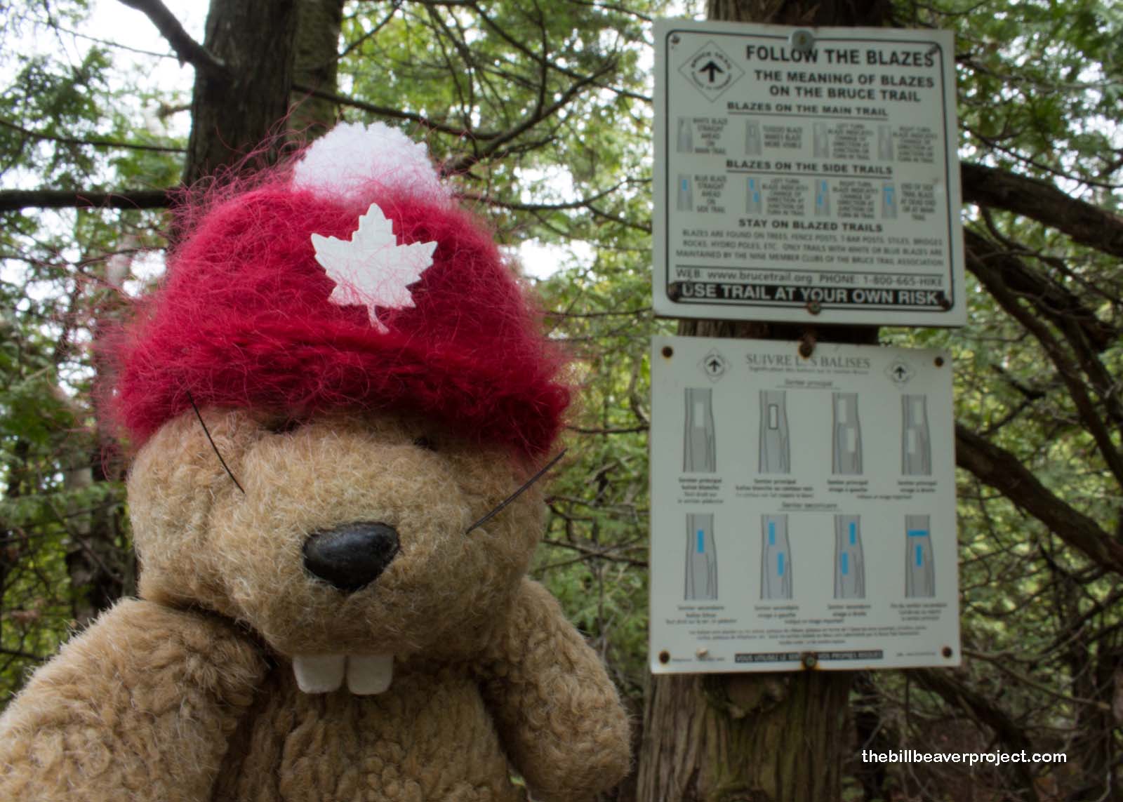 The Bruce Trail is marked by blazes, just like the Camino de Santiago!