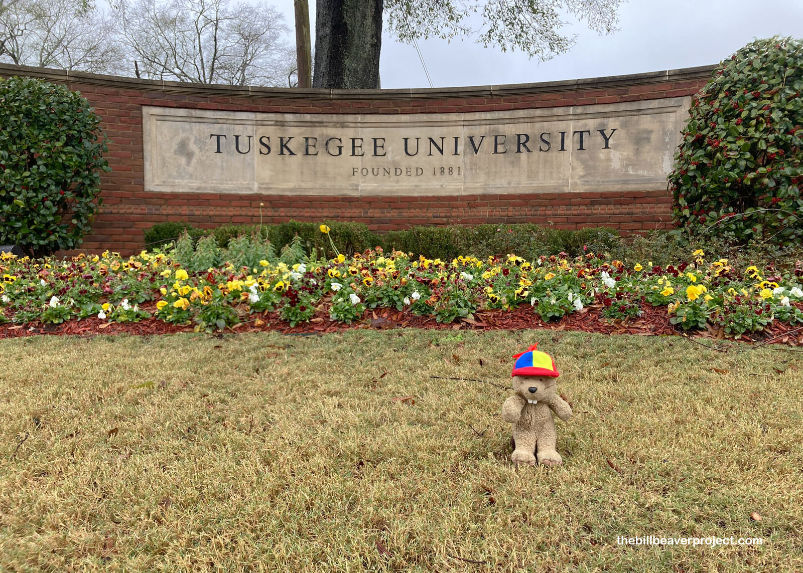 Tuskegee University