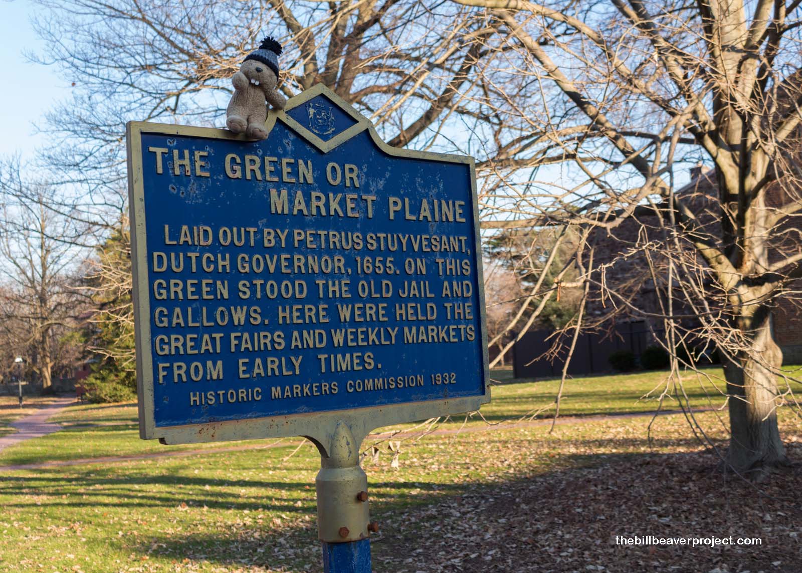 The Green or Market Plaine