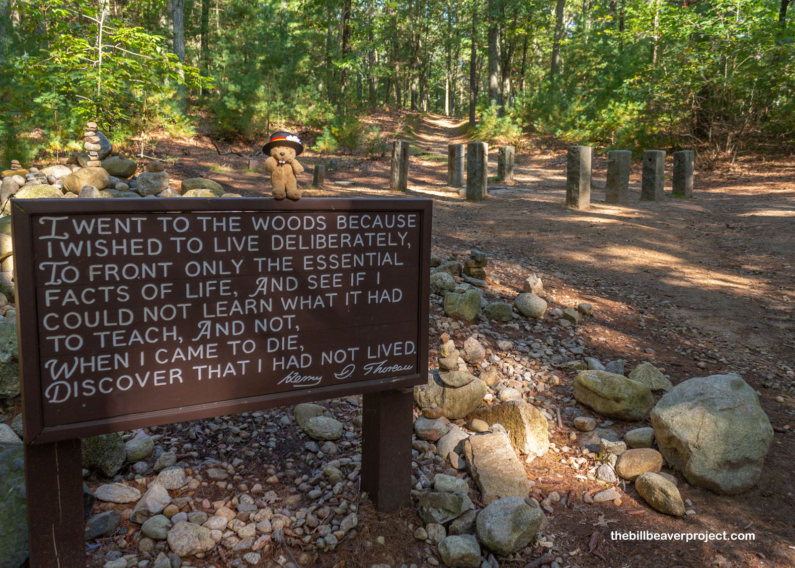 The cairn at the site of Thoreau's cabin!