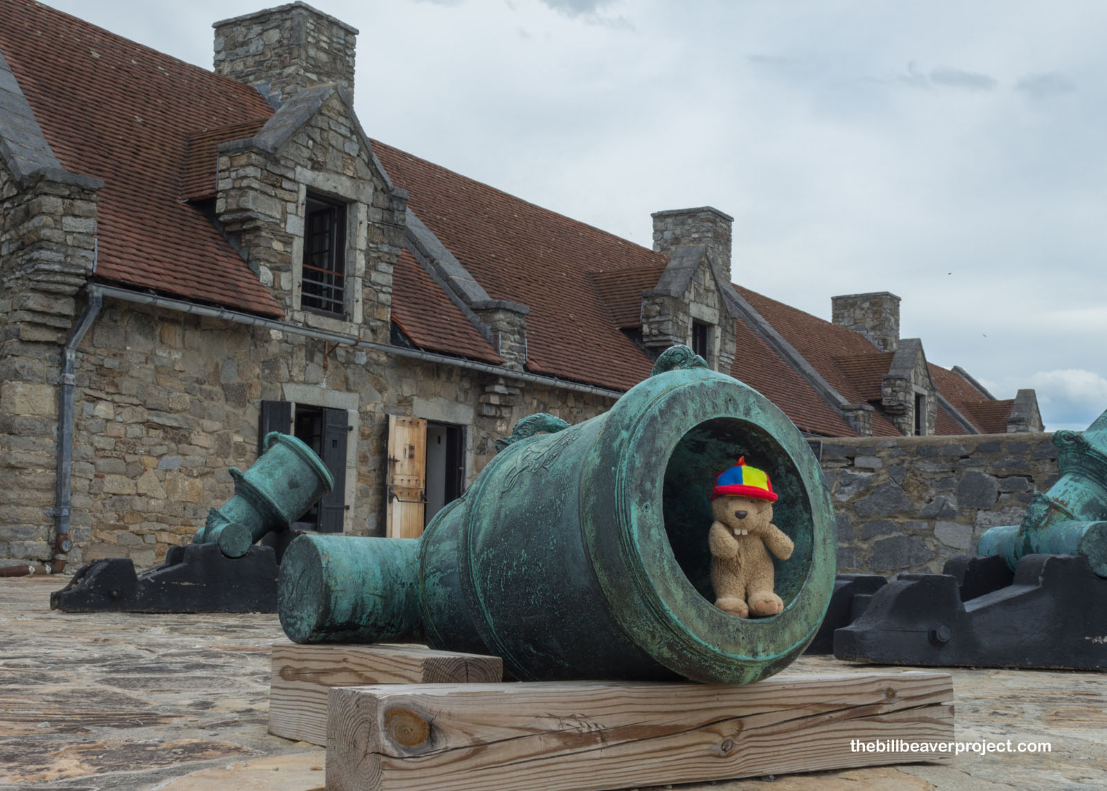 Period-authentic cannons shipped from England!