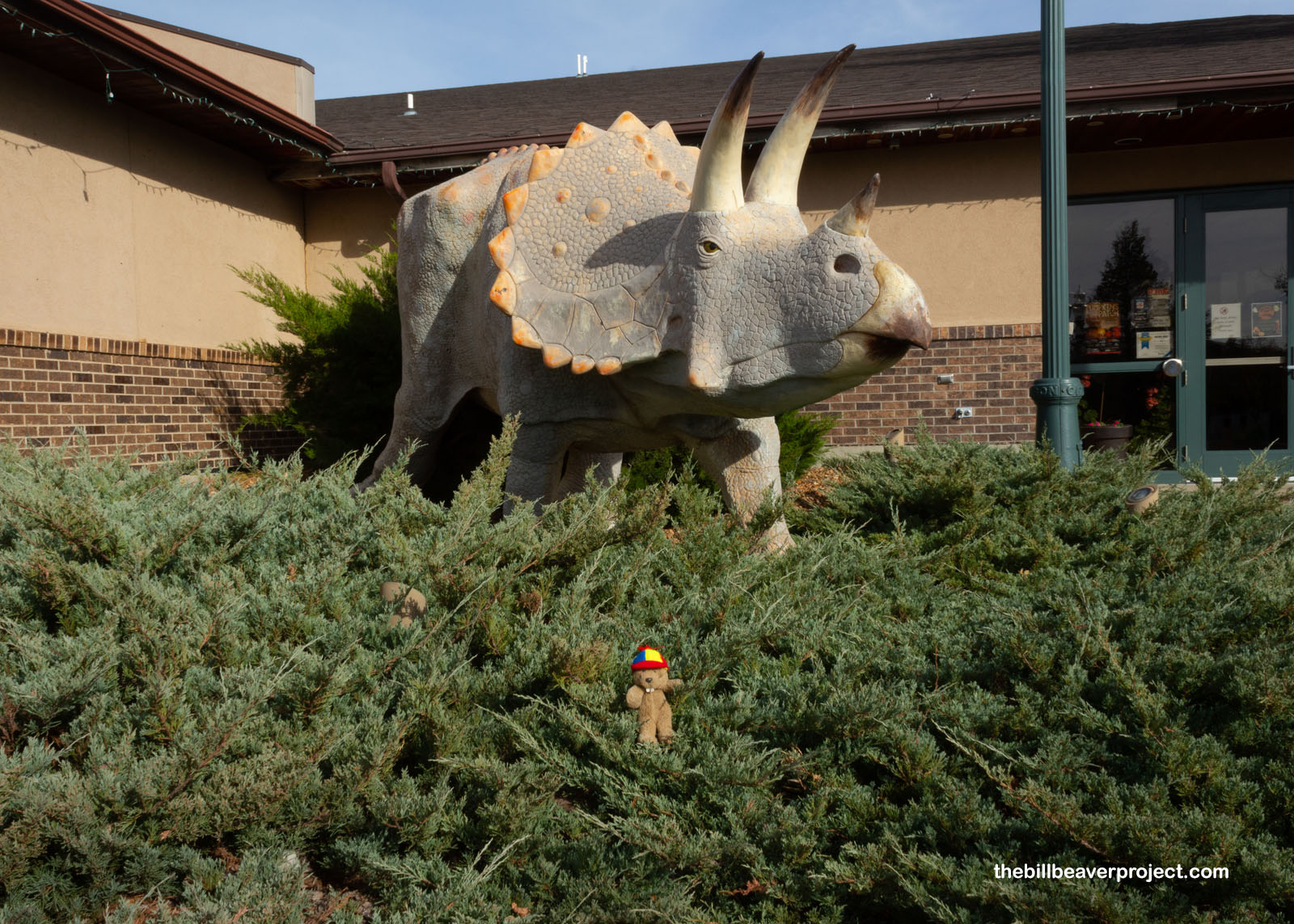 A huge Triceratops at the entrance!
