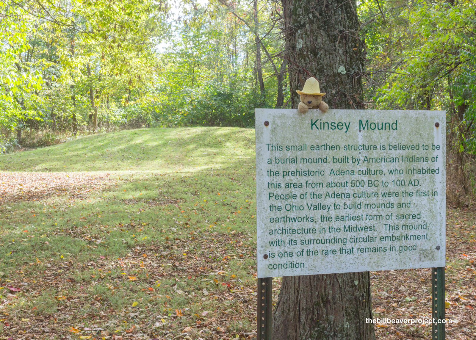 Kinsey Road Mound