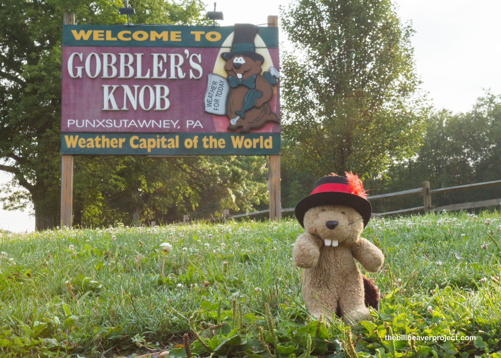 Welcome to Gobbler's Knob!